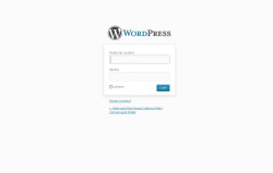 INSTRUÇÕES BÁSICAS DE UTILIZAÇÃO DO WORDPRESS login wordpress
